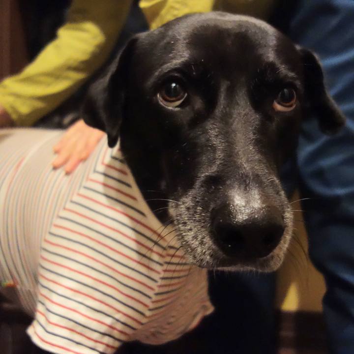 29b5ed4b 21fc 4229 b284 b5e788dd9da2 1670151901295