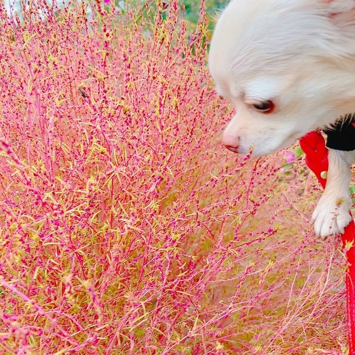 29b60333 8a22 4ddf af1d e92426ead661 1634038079918