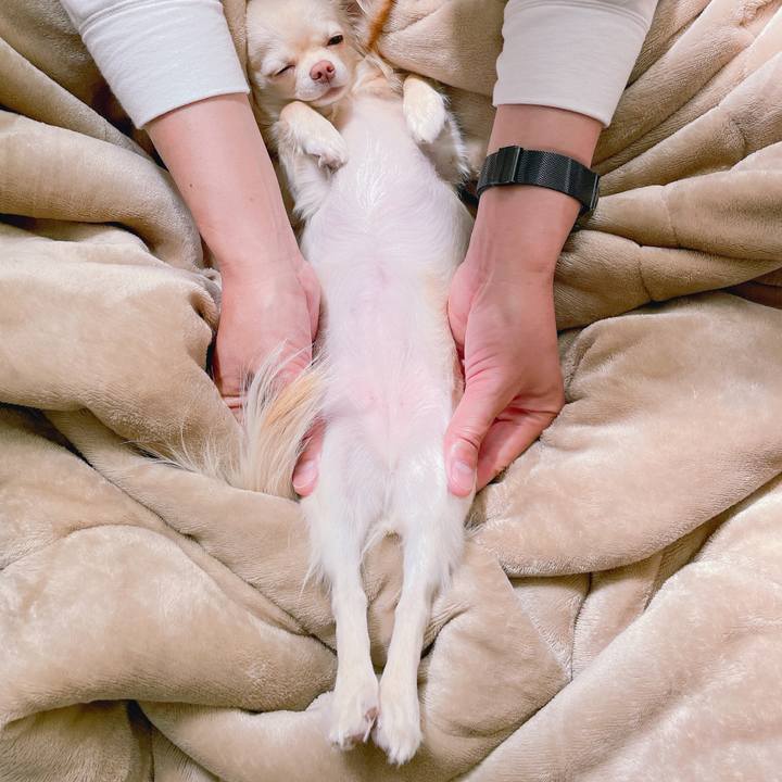 29b60b4b 6c9f 44e6 8940 d745bd7f3fff 1620111506023