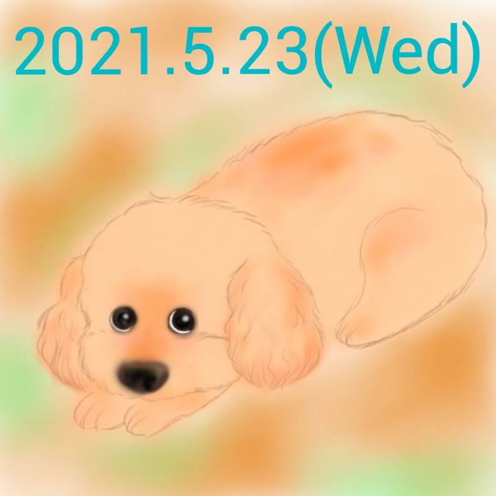 29b61668 c981 4fc9 9463 9dc737956907 1621735158135
