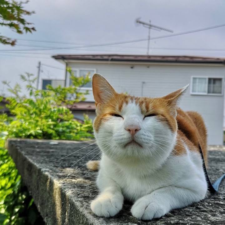 29b61bcd 3014 4fc8 a64a 2bd131b36a0e 1559566110733