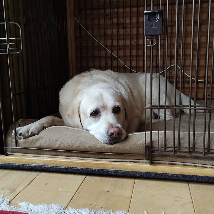 29b62157 704d 47bf 82e9 62b9cab69089 1750476554009