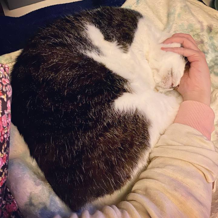 29b6562a 2307 4f5f b614 00f8849f0837 1616073832966