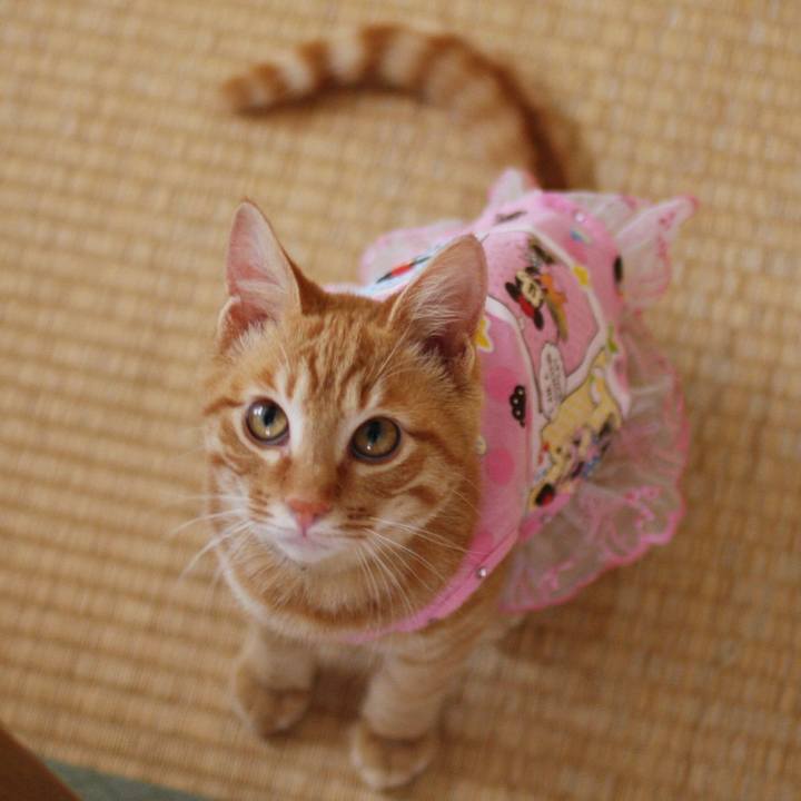 29b6c4c4 f92c 4dd7 bc5e 97a969fe3fd2 1721021607386