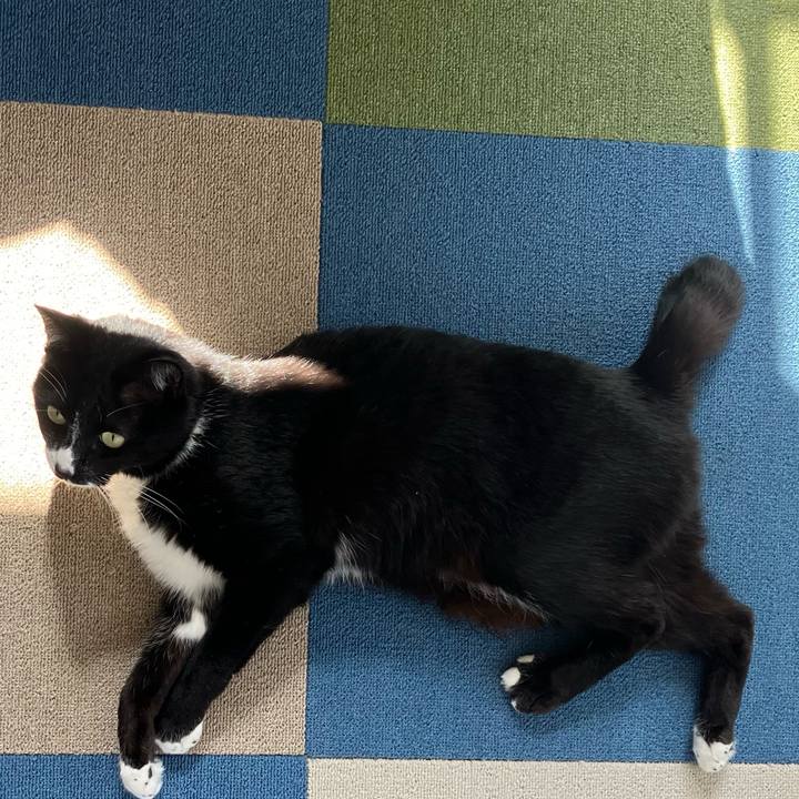 29b6d130 ee54 4945 8c70 5f8333f5a99f 1713497862988