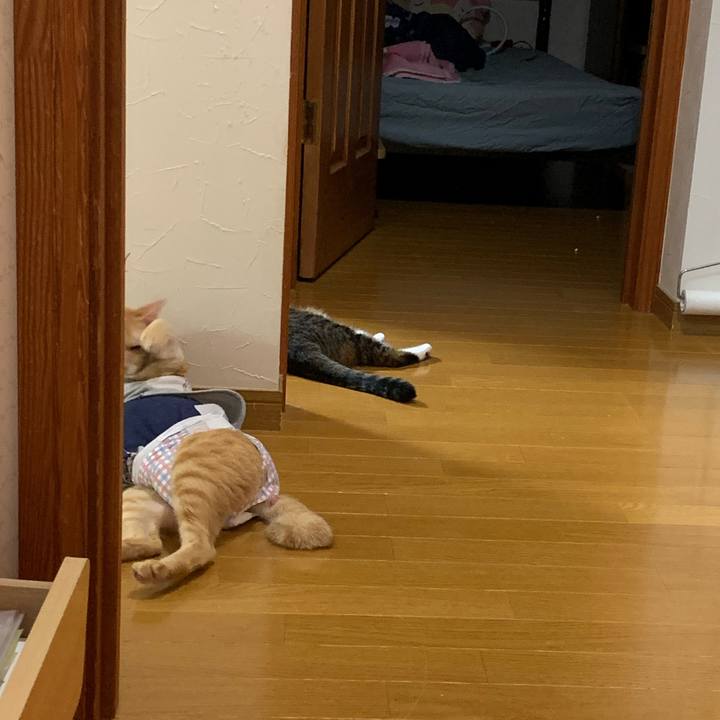 29b73423 dc27 4664 b283 658d01f60d31 1632925684167