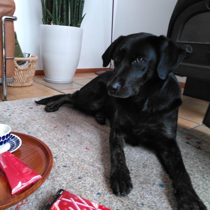 29b7b0a3 905d 4033 8e00 6b59618c9caa 1586657946755