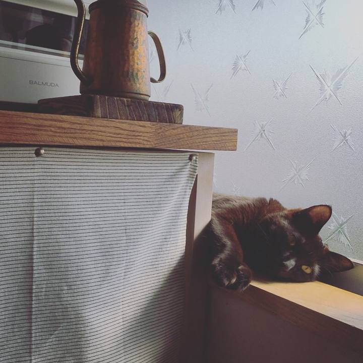 29b7cb14 361b 42bc 95de 214302d05937 1522629643747