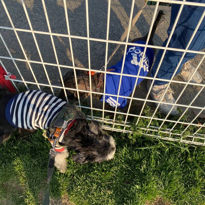 29b7cdfd 47c3 43b6 b678 c2773c2c4945 1580636187848