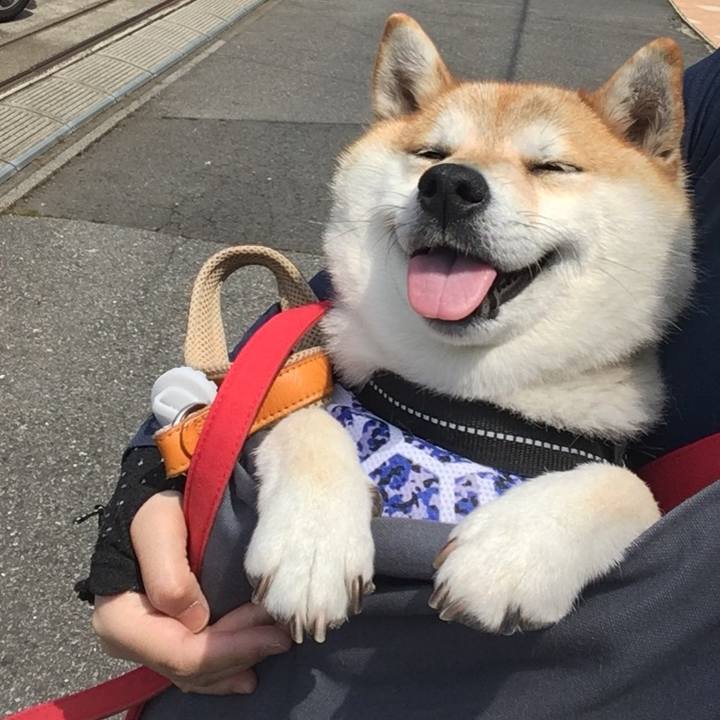 29b7e76f b652 439c b330 fb25063b49c5 1588651628683