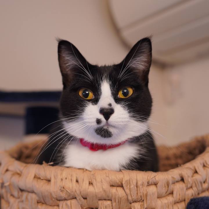 29b86c64 50be 4e5e 9b3e c936ddc2ff3a 1612524571980