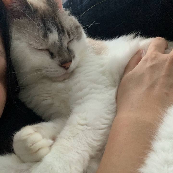 29b87f33 57de 4caf a2ff 4e8d7e33a625 1664009441178