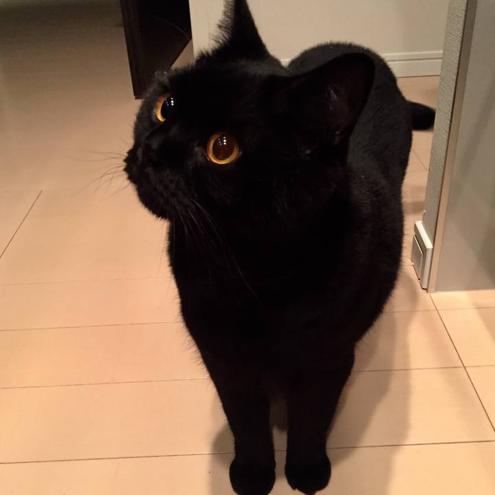 29b8b1ea 5a4d 475a 810d 8339778471fa 1538561769906