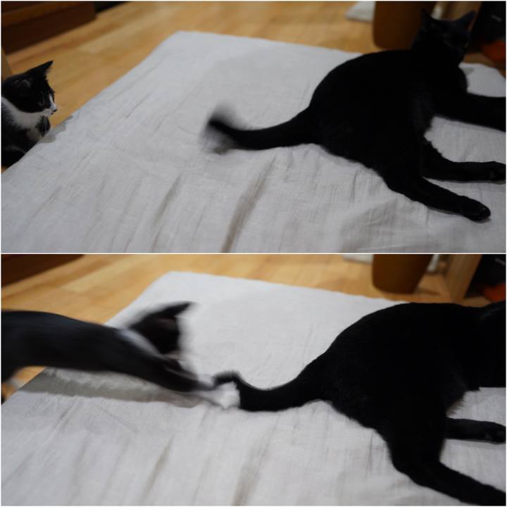 29b8d2d8 c0bb 4627 9d06 21caf9069b8a 1568298758108