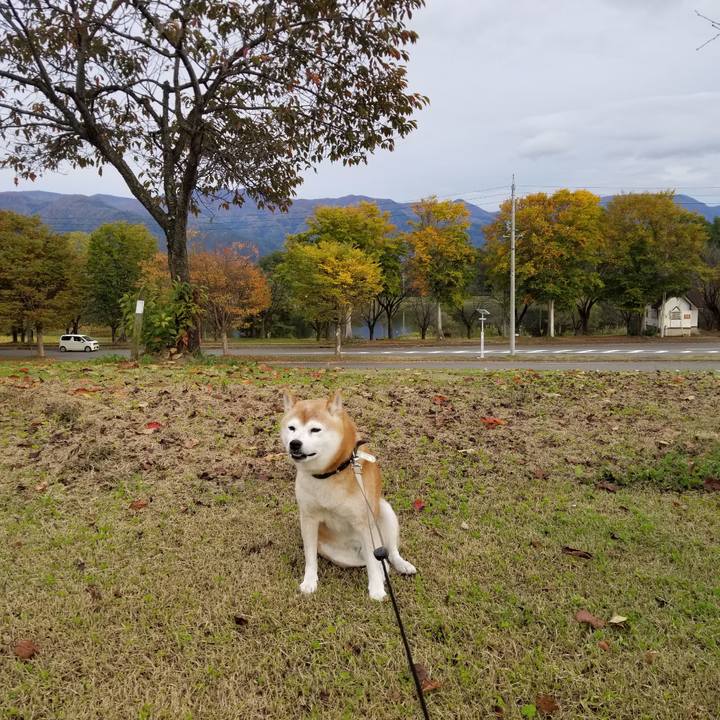 29b8df05 883b 4e78 a77e 763d14915c46 1666680840351