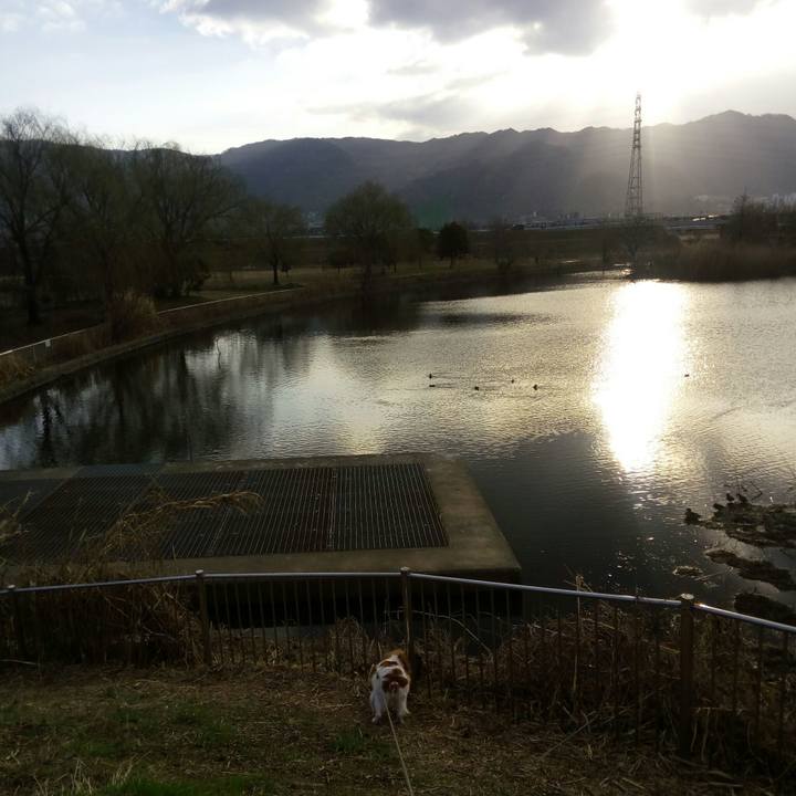 29b8df90 c51f 45f1 8841 e6b0059dad7b 1519966494034