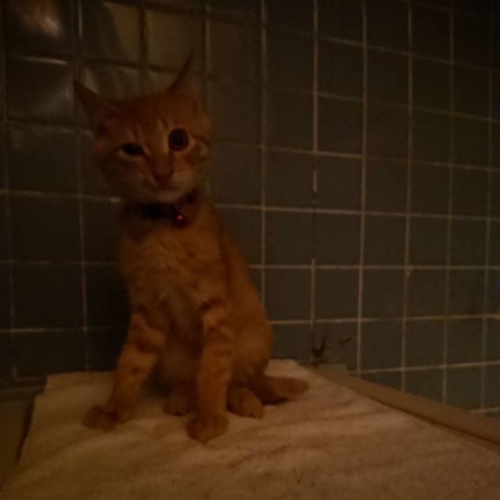 29b8ee36 30e3 41cd b328 3b954147da4c 1632995928448