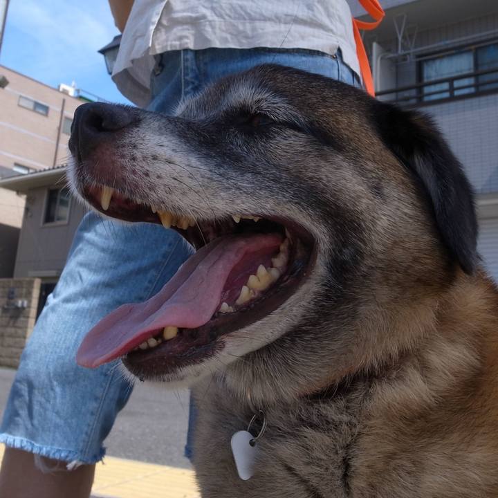 29b92ff6 ed8b 4b4a a2bb 898c65103aa8 1587861169990