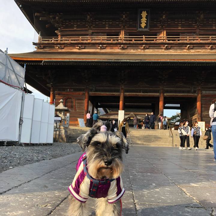 29b93383 17db 47a4 96b5 f3adba8d219b 1613223267038