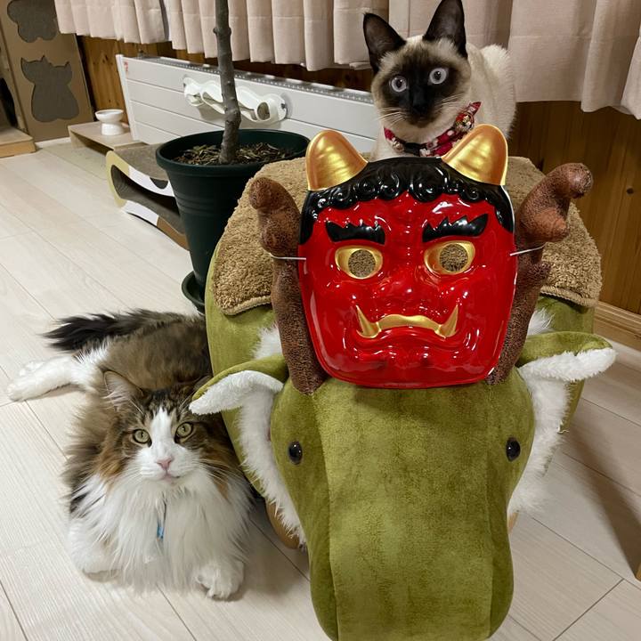 29b93484 1613 4ca1 880d 92ce2cb568c1 1706962941283