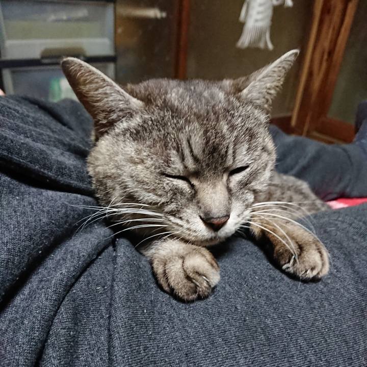 29b94969 61a4 4e46 b8a8 50eef9e1f689 1553935996506