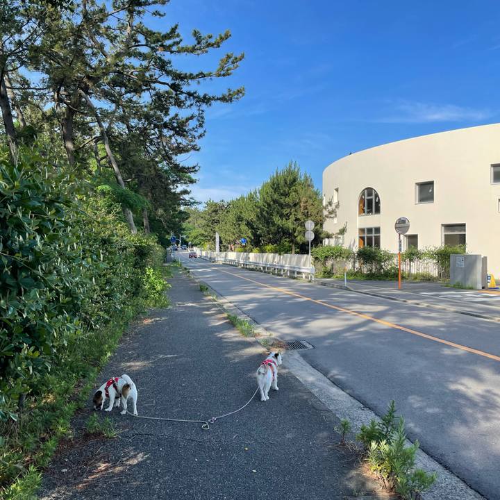 29b96891 456a 49c3 b0dc 505f98b146b6 1656459290298