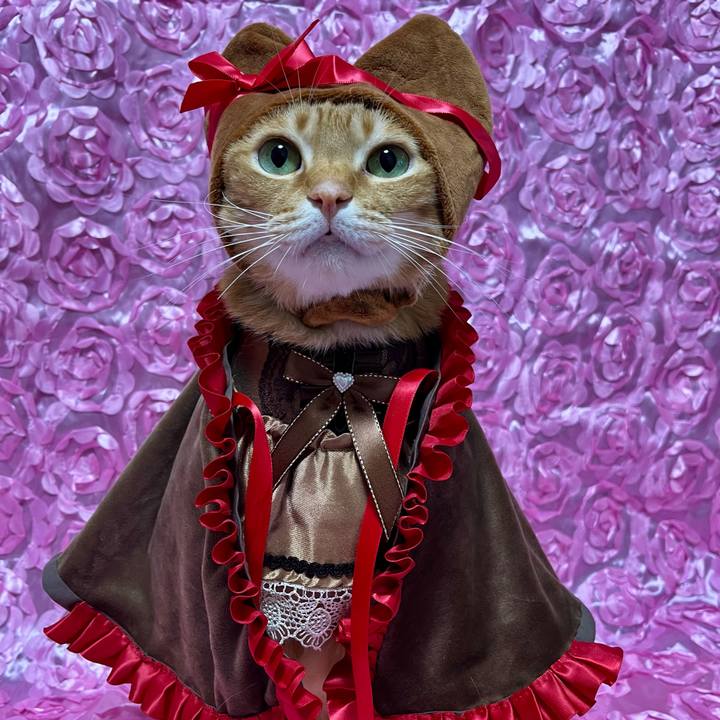 29b99509 6930 4741 b30d 4c1b802c1fcc 1707860591867