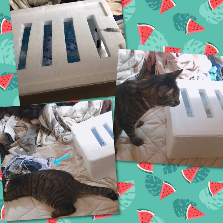 29b9b437 0ed3 4844 b2c5 d617b4b675f2 1564541700545