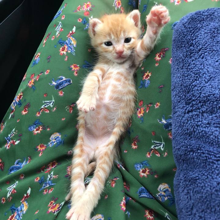 29b9db12 4c8a 449f bad5 ad5eb733fd0f 1559464714301