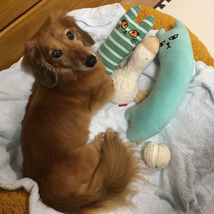 29b9edff 4731 453e b45b 06ade09ffe3c 1622120925177