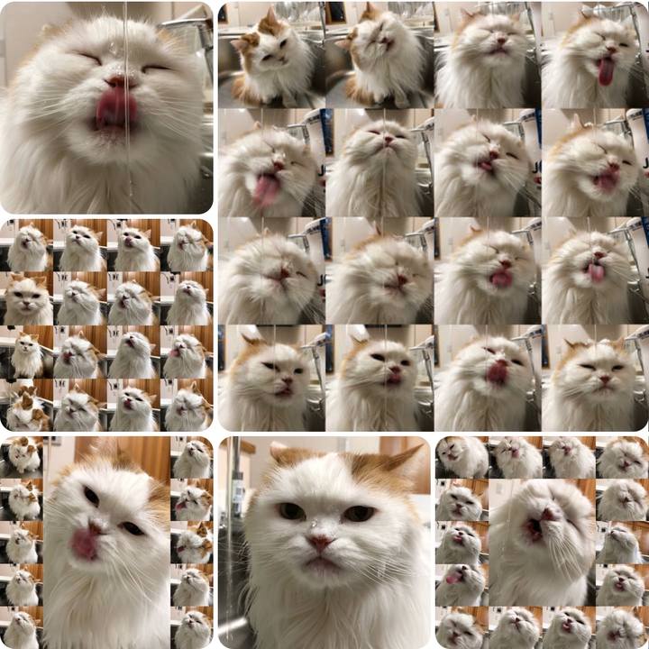 29ba1be5 c9b9 4f59 8d0b 943608c951de 1770892176478