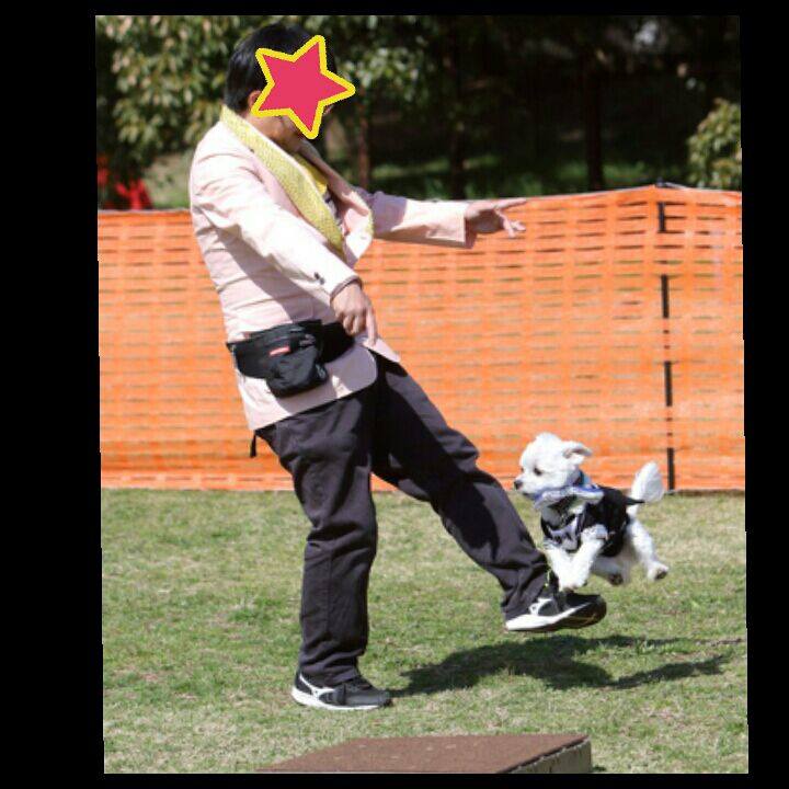 29ba4007 2c9c 40fd 908a 058bd45feb40 1523006020683