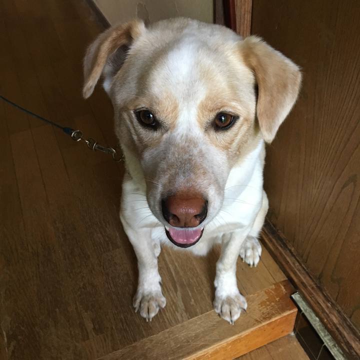 29ba4ac2 5cff 4778 96d6 320acc567374 1524958768518