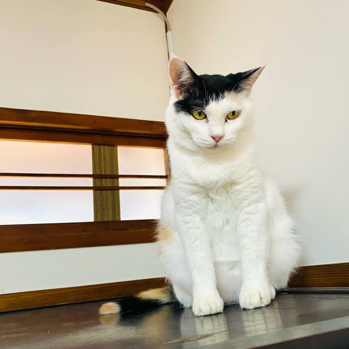 29ba4f0c 7bae 4792 9a25 e906a8b1a2d4 1754142951032