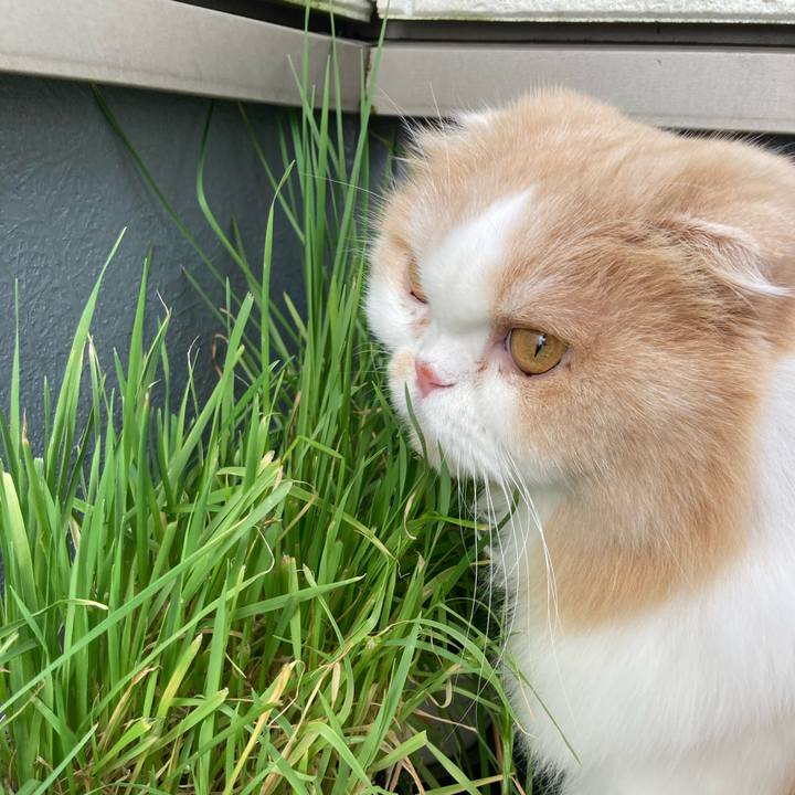 29ba5c23 0ddd 4f49 aa68 a9430d9fc29d 1670625278203