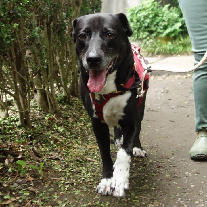 29baec9c adc3 43b7 ae4c 32c4926d5025 1686703253595