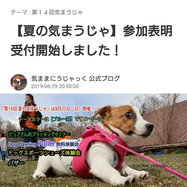 29baf404 0497 480b 9613 98072204ea7c 1561812095274