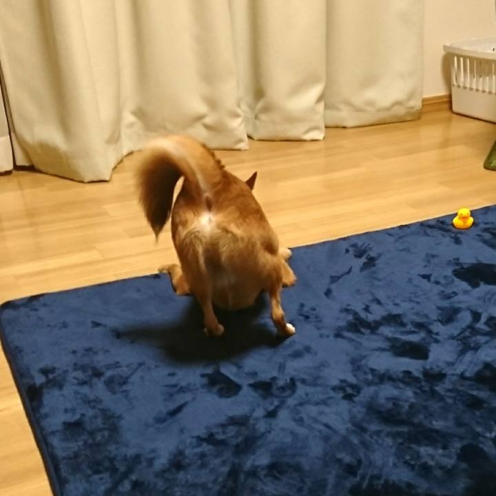 29bb829f 3446 45f0 880b 5bf75deca03c 1509362862578