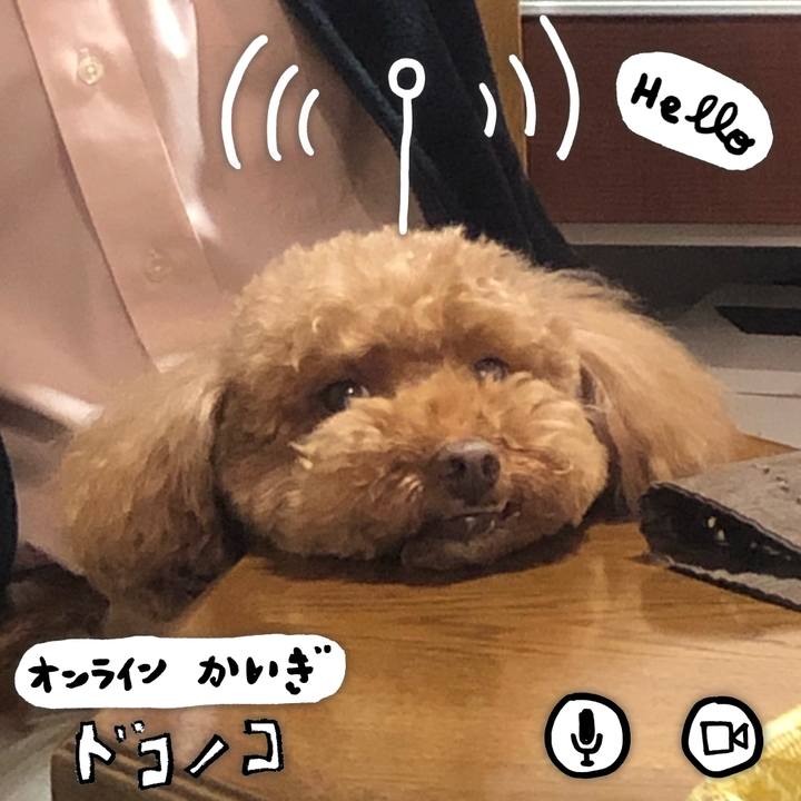 29bb9429 baf9 4343 b90e f3971455d6da 1591273799302