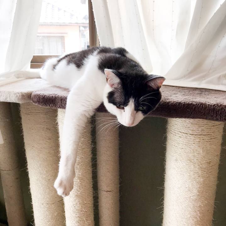 29bc05ca 31cc 494c 839e cccc62134118 1531062089307