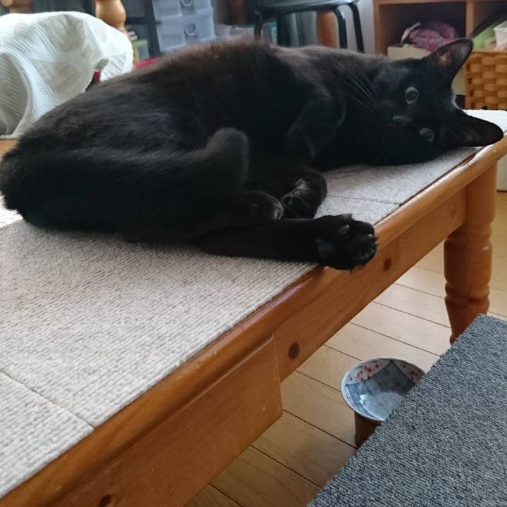 29bc0c3d 3e8b 4f54 b73c 75a58e8b892e 1600474683975