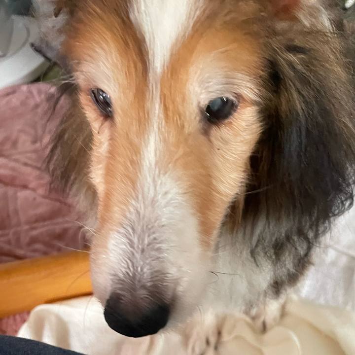 29bc115c cac5 45ac a467 75a134325374 1658490076130