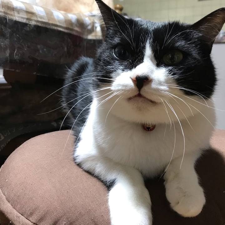 29bc4fd2 2fef 4336 b7da ee3a0f97a895 1552470808031