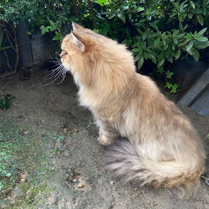 29bc5bb5 92f1 4ff3 a5af 1a35f72c26d0 1629687319303