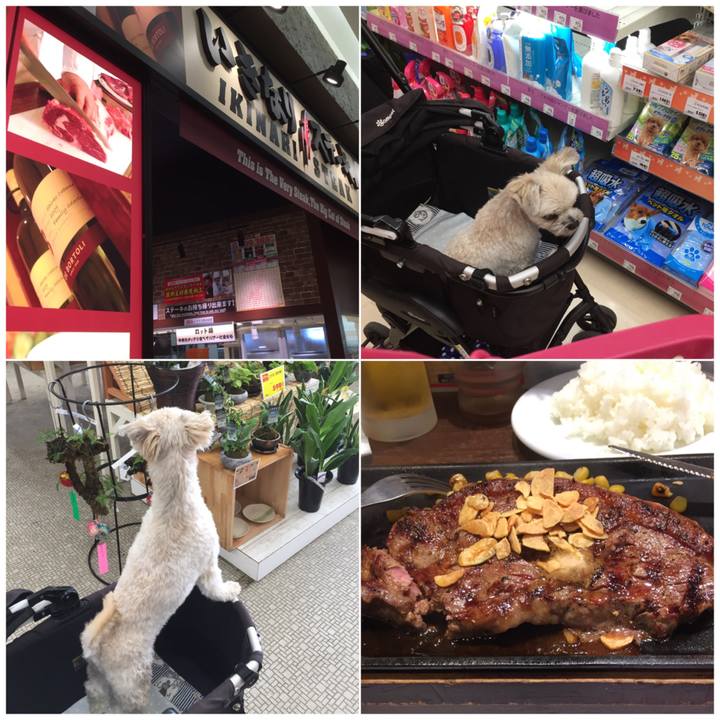 29bc610d 1176 4040 b214 6eeda3df23c2 1531644964396