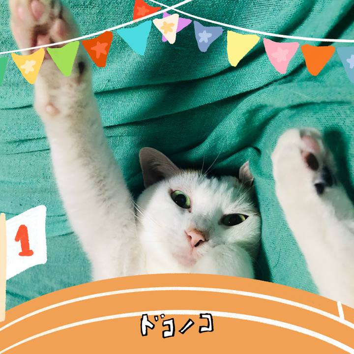 29bc615b ac82 4a62 a510 6086b21d72d1 1762133504412