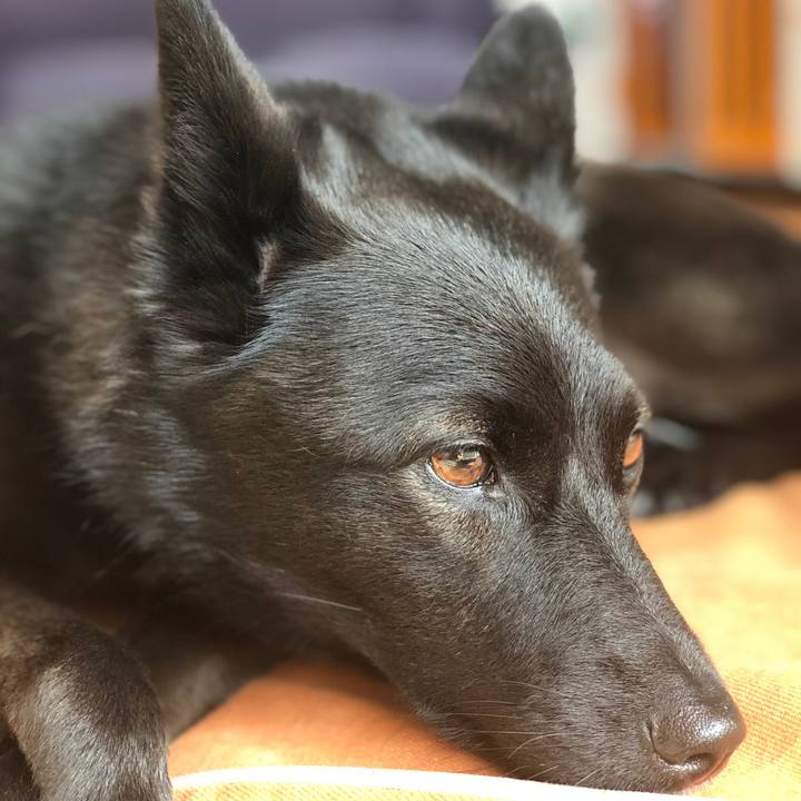 29bc720b 4f3b 4c44 b94a c59c34f1bec6 1568511591312