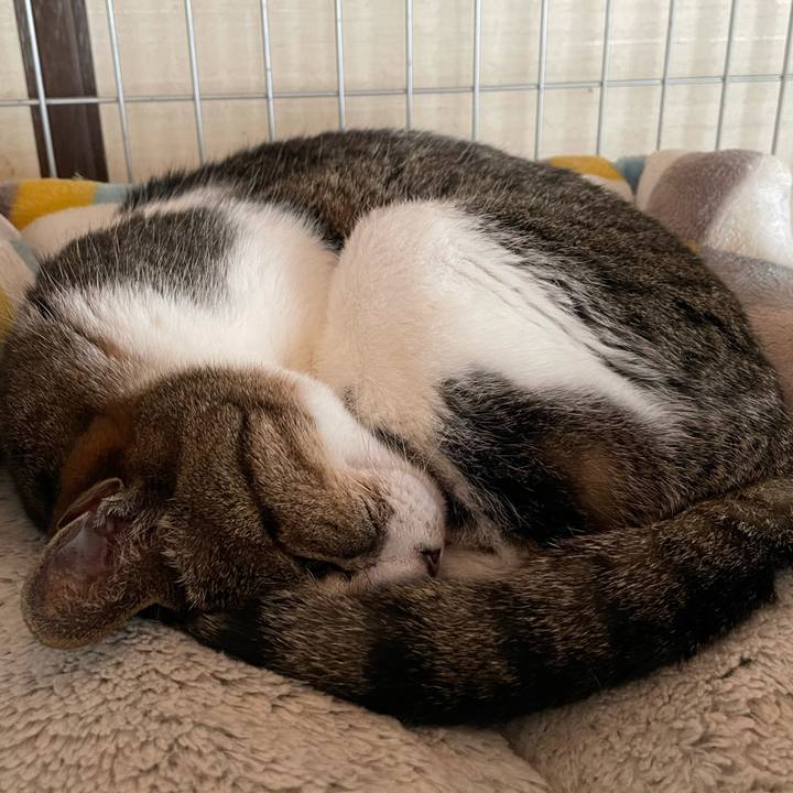 29bc7672 c5d0 4540 9e8f 67ed135b9a3b 1653012167495