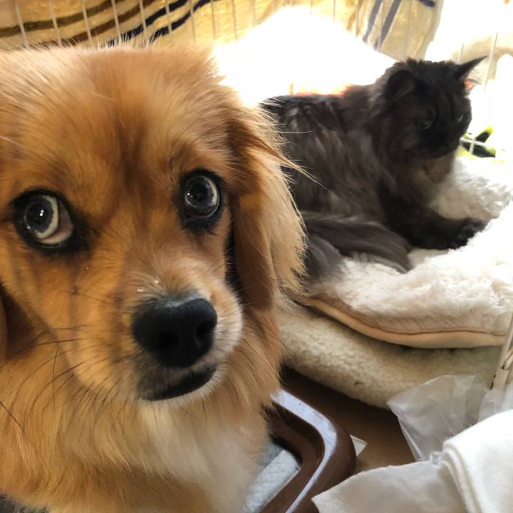 29bc8b35 4504 4e92 b03a 08e277ca642d 1525731381771