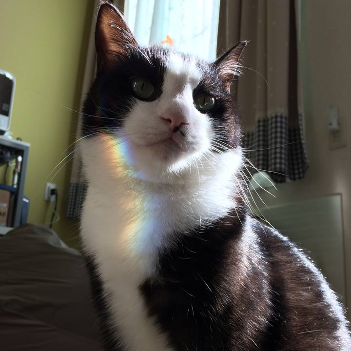 29bcb25f 767e 41ae 9481 3682b823c00c 1510885280794